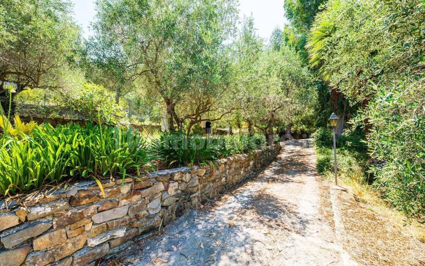 Villa unifamiliare, ottimo stato, 180 m², Centro, Vallebona — foto 14 di 64