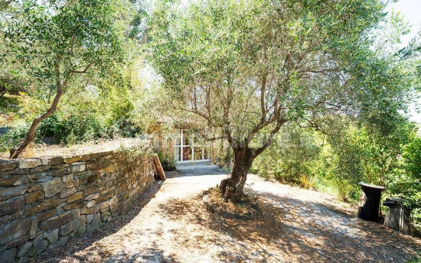Villa unifamiliare, ottimo stato, 180 m², Centro, Vallebona — foto 5 di 64