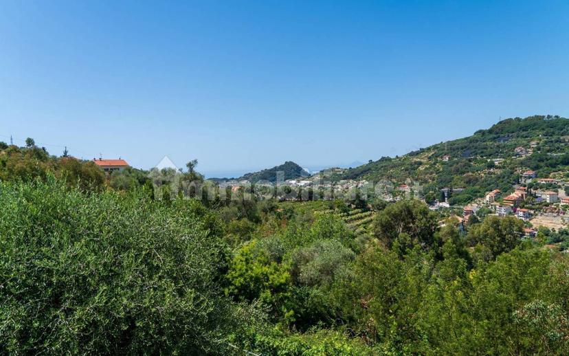 Villa unifamiliare, buono stato, 130 m², Centro, Vallebona — foto 39 di 50