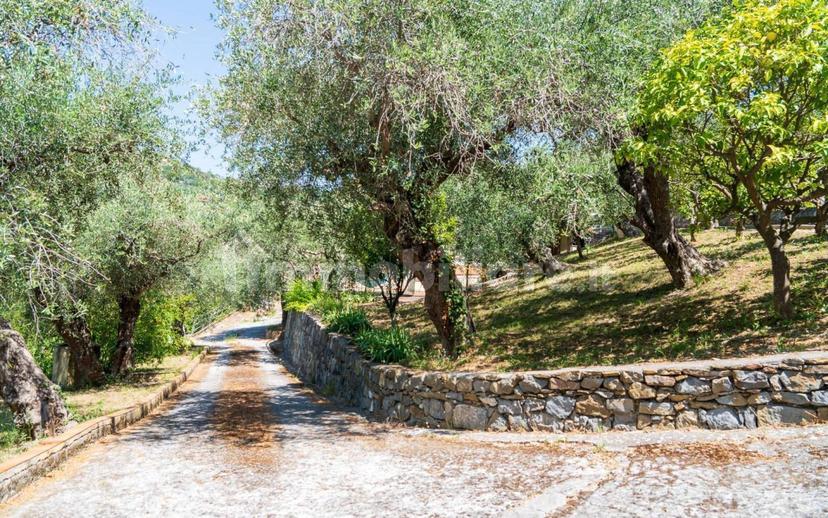 Villa unifamiliare, buono stato, 130 m², Centro, Vallebona — foto 2 di 50