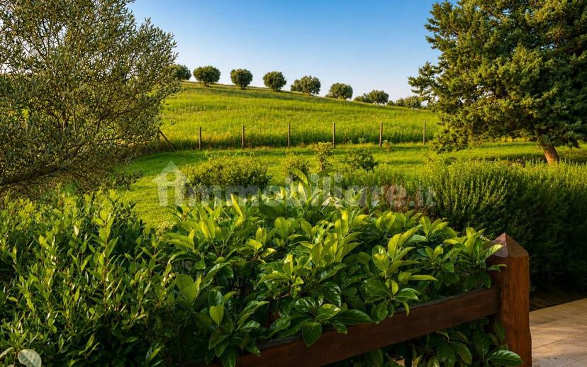Villa unifamiliare Località La Sgrilla, Manciano — foto 3 di 36