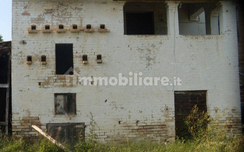 Casa colonica Contrada Piano di Trocco 5, Monsampolo del Tronto — foto 2 di 7