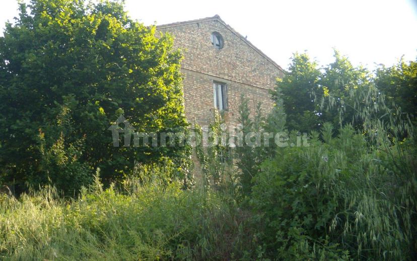Casa colonica Contrada Piano di Trocco 5, Monsampolo del Tronto — foto 4 di 7