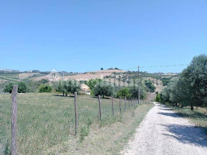 Casa colonica Contrada Piano di Trocco 5, Monsampolo del Tronto — foto 5 di 7
