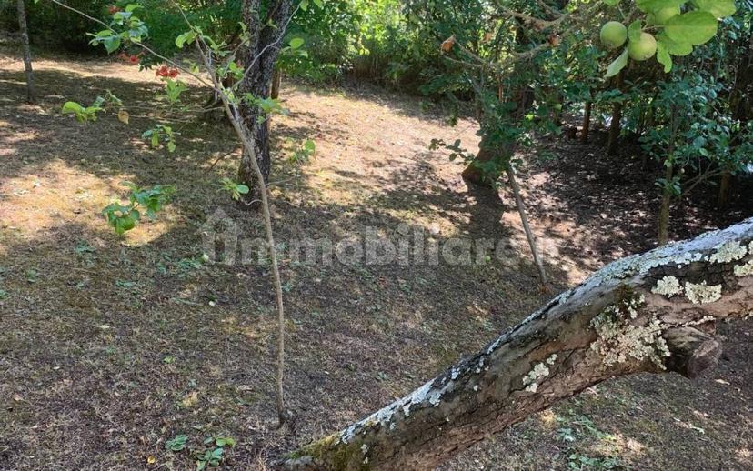 Villa unifamiliare Strada Statale di Val Nure 6, Ferriere — foto 9 di 19