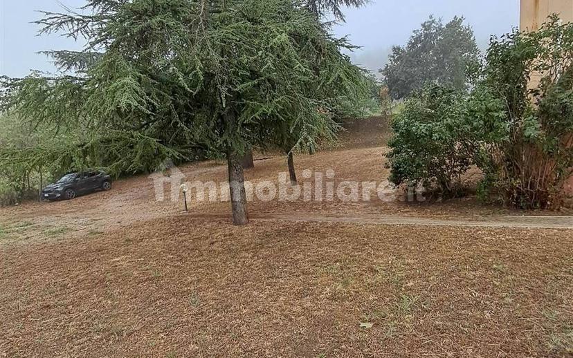 Trilocale ottimo stato, piano terra, Agazzano — foto 14 di 20