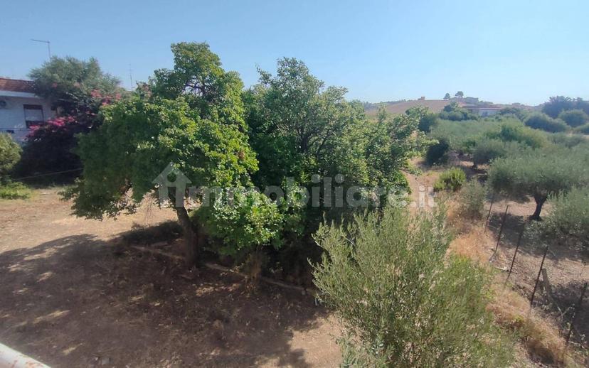 Villa unifamiliare via Cavaleri Magazzeni, San Leone, Villaseta, Villaggio, Agrigento — foto 10 di 15