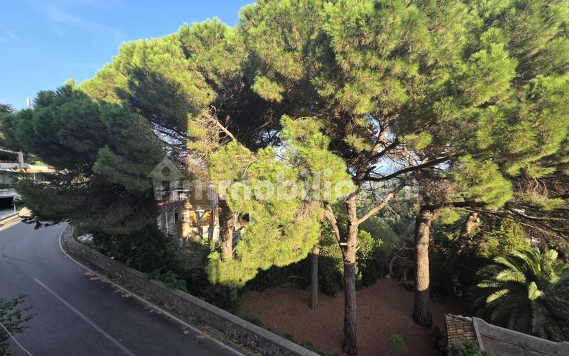 Quadrilocale da ristrutturare, secondo piano, Pentone — foto 7 di 13