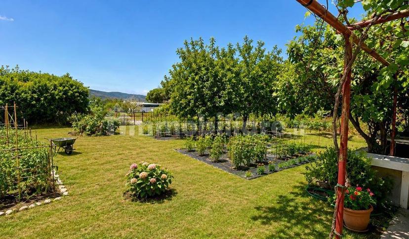 Rustico via lentisco, Campo nell'Elba — foto 12 di 18