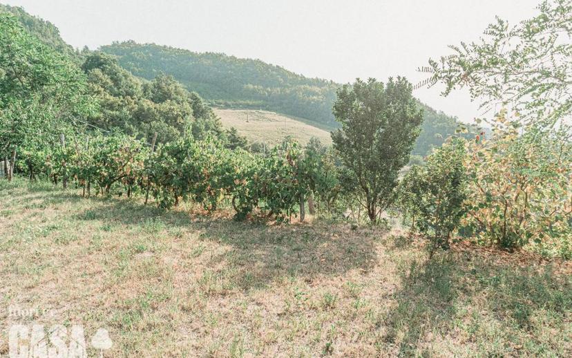Villa unifamiliare via piana 35 sarsina, Sarsina