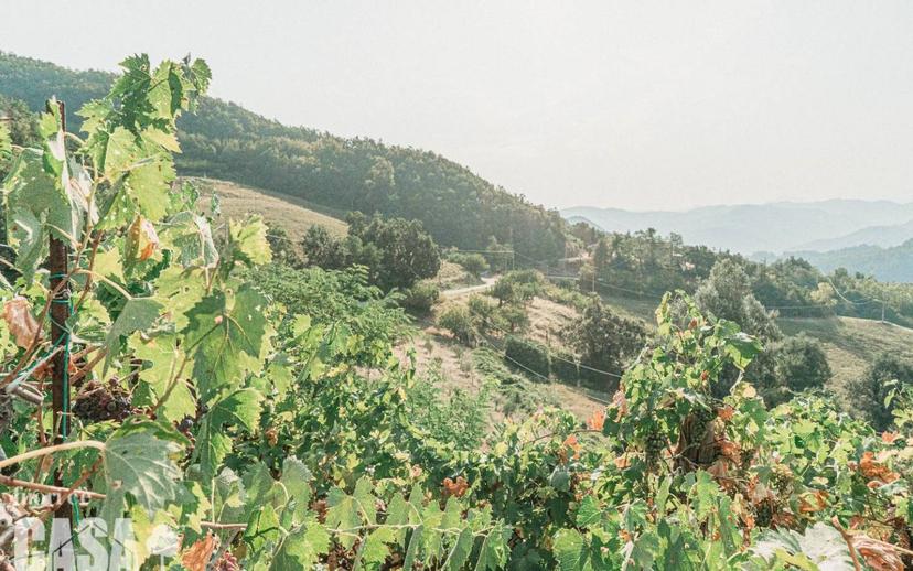 Villa unifamiliare via piana 35 sarsina, Sarsina — foto 5 di 26