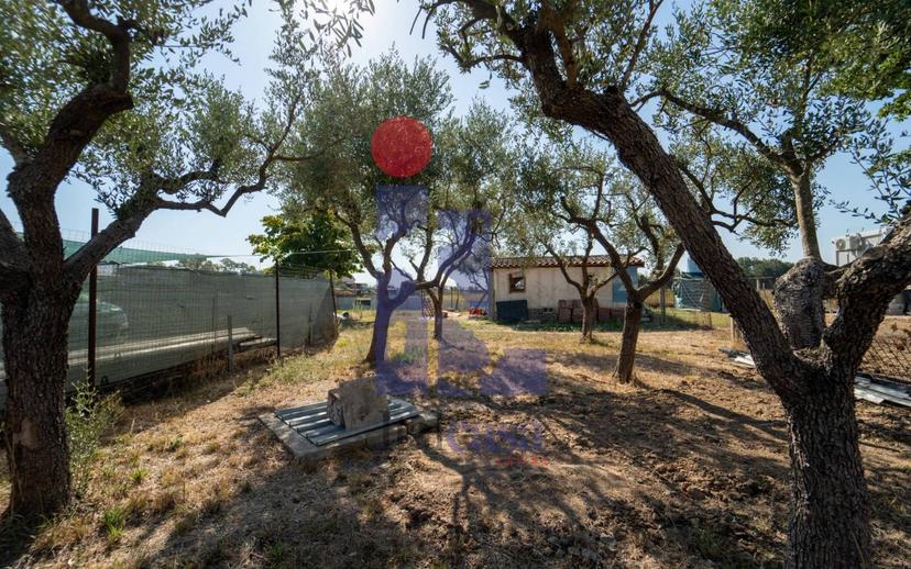 Villa unifamiliare Strada Litoranea 5 26, Sabaudia — foto 10 di 31