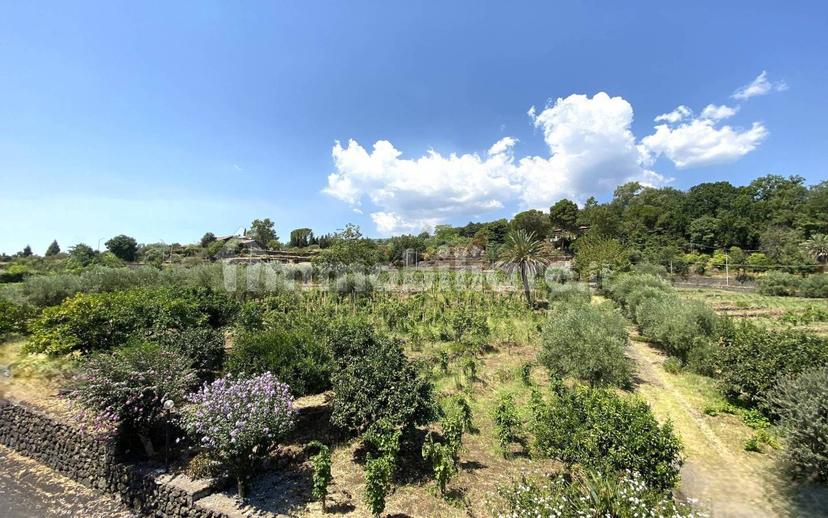 Casale via Calatafimi, 0, Santa Venerina — foto 51 di 80