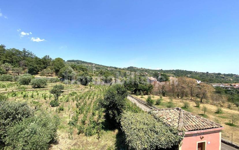 Casale via Calatafimi, 0, Santa Venerina — foto 40 di 80