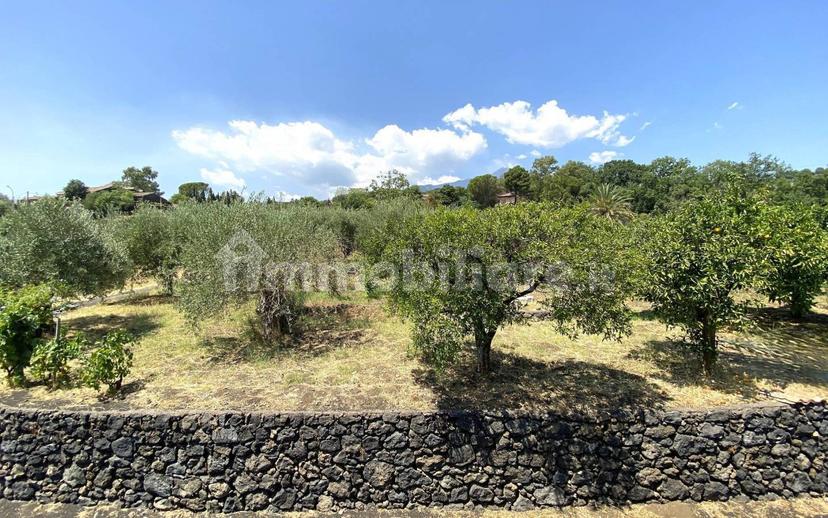 Casale via Calatafimi, 0, Santa Venerina — foto 65 di 80