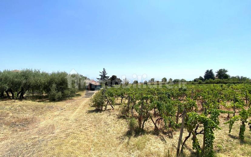 Casale via Calatafimi, 0, Santa Venerina — foto 20 di 80