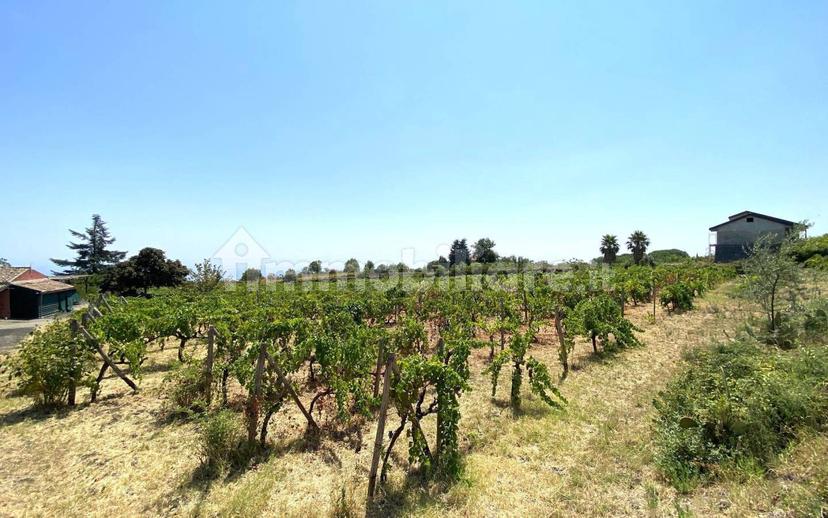 Casale via Calatafimi, 0, Santa Venerina — foto 44 di 80