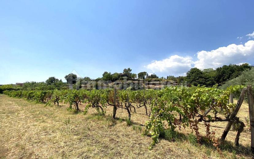 Casale via Calatafimi, 0, Santa Venerina — foto 63 di 80