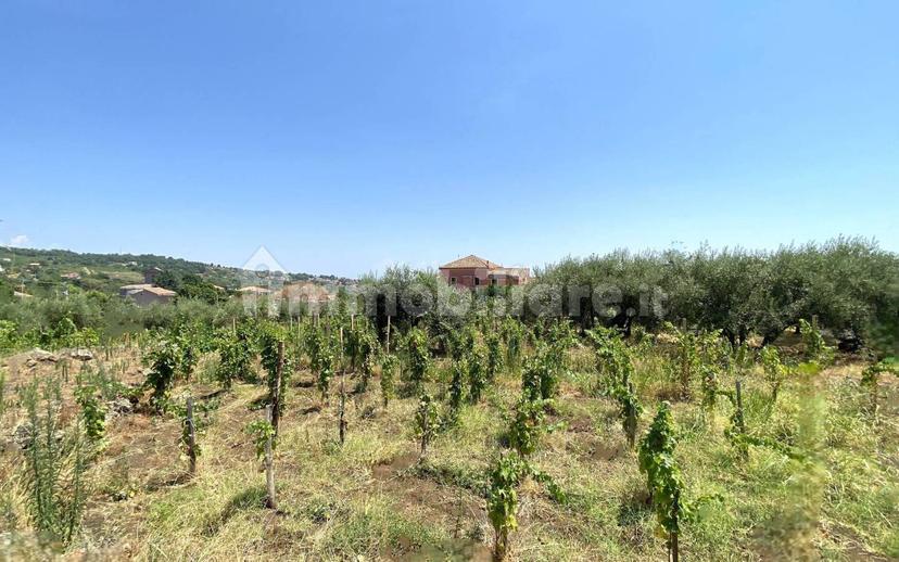 Casale via Calatafimi, 0, Santa Venerina — foto 30 di 80