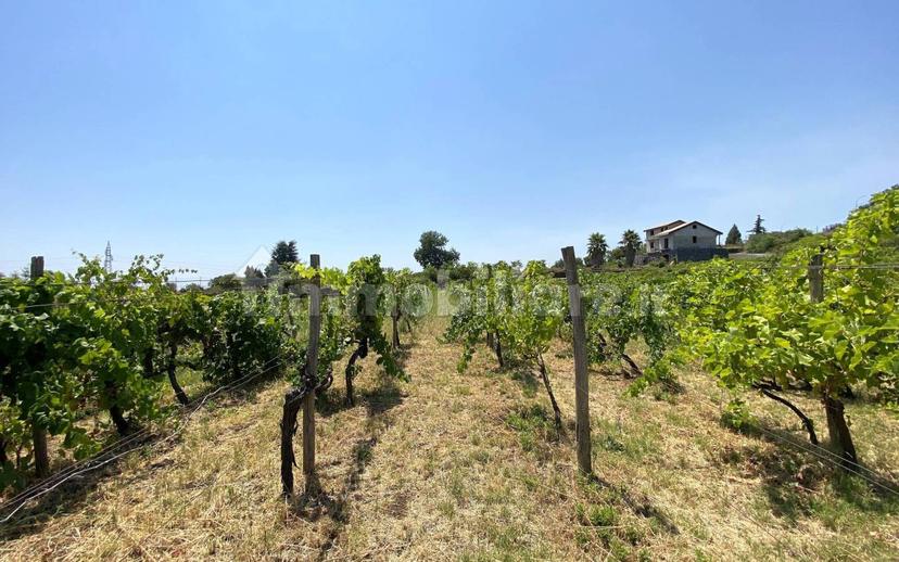 Casale via Calatafimi, 0, Santa Venerina — foto 14 di 80