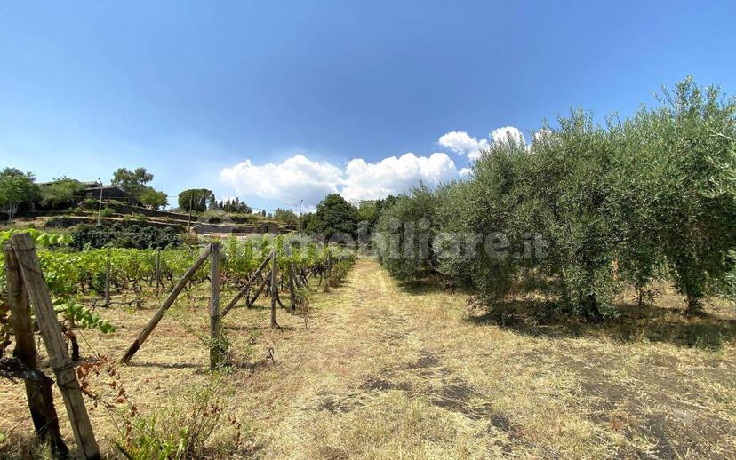 Casale via Calatafimi, 0, Santa Venerina — foto 43 di 80