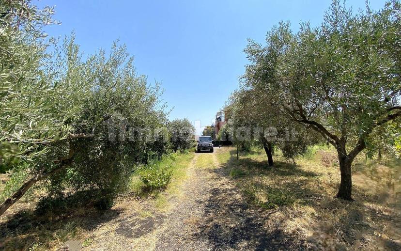 Casale via Calatafimi, 0, Santa Venerina — foto 73 di 80