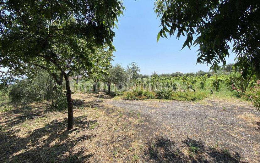 Casale via Calatafimi, 0, Santa Venerina — foto 3 di 80