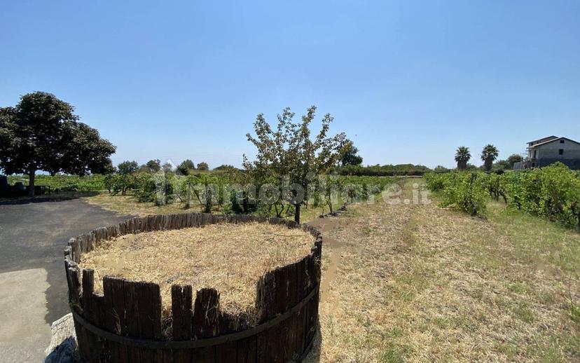 Casale via Calatafimi, 0, Santa Venerina — foto 69 di 80