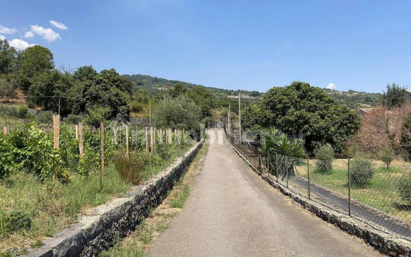 Casale via Calatafimi, 0, Santa Venerina — foto 77 di 80