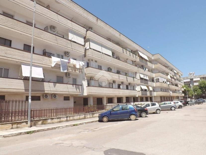 Quadrilocale via D'Addato Sacerdote Mauro 26, Bisceglie — foto 16 di 18