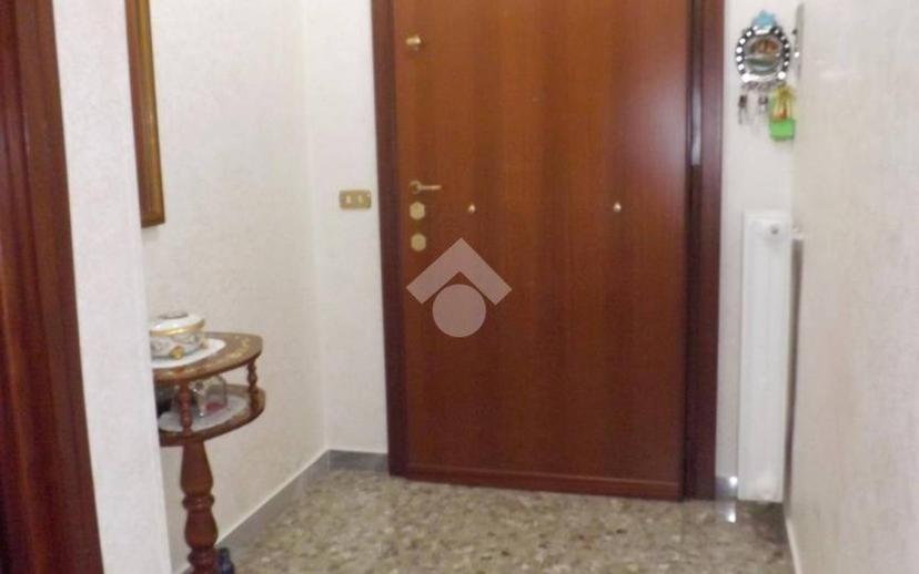 Quadrilocale via D'Addato Sacerdote Mauro 26, Bisceglie — foto 17 di 18