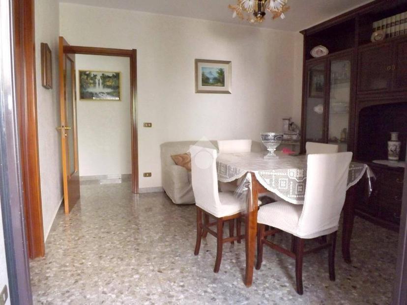 Quadrilocale via D'Addato Sacerdote Mauro 26, Bisceglie — foto 6 di 18