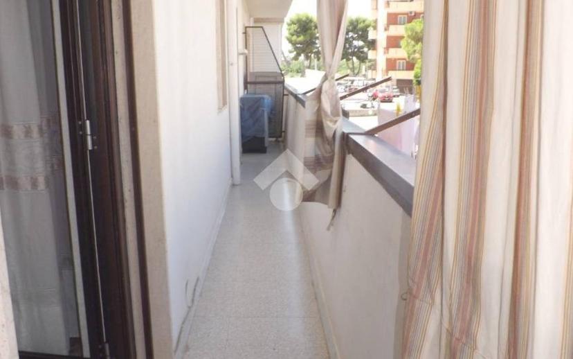 Quadrilocale via D'Addato Sacerdote Mauro 26, Bisceglie — foto 7 di 18
