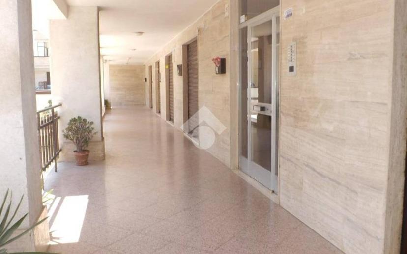 Quadrilocale via D'Addato Sacerdote Mauro 26, Bisceglie — foto 3 di 18