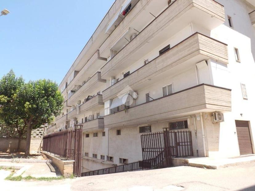 Quadrilocale via D'Addato Sacerdote Mauro 26, Bisceglie — foto 8 di 18