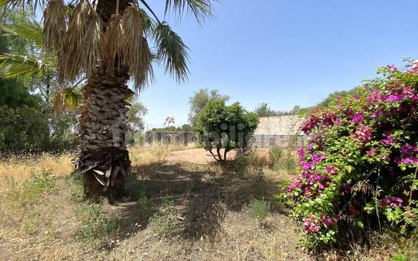 Appartamento via Etnea 415, Centro, Mascalucia — foto 4 di 42