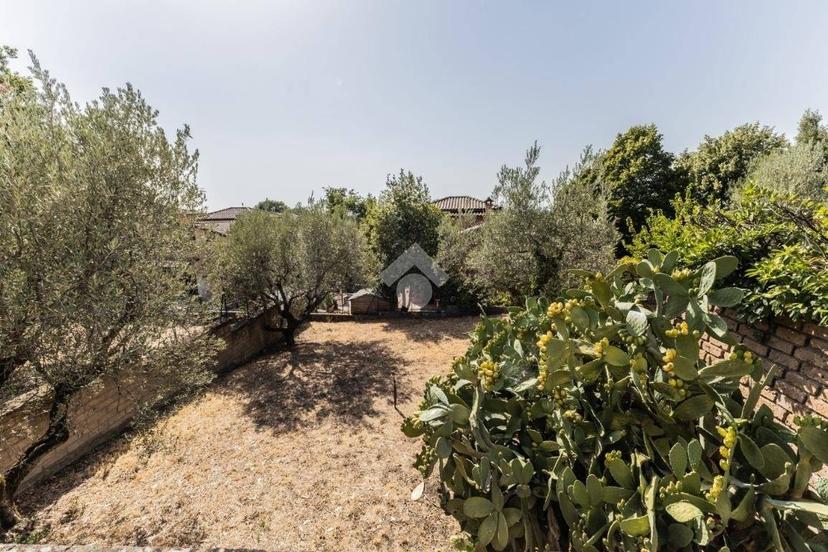 Villa unifamiliare via del mandorlo, Pian Di San Martino, Vetralla — foto 3 di 32