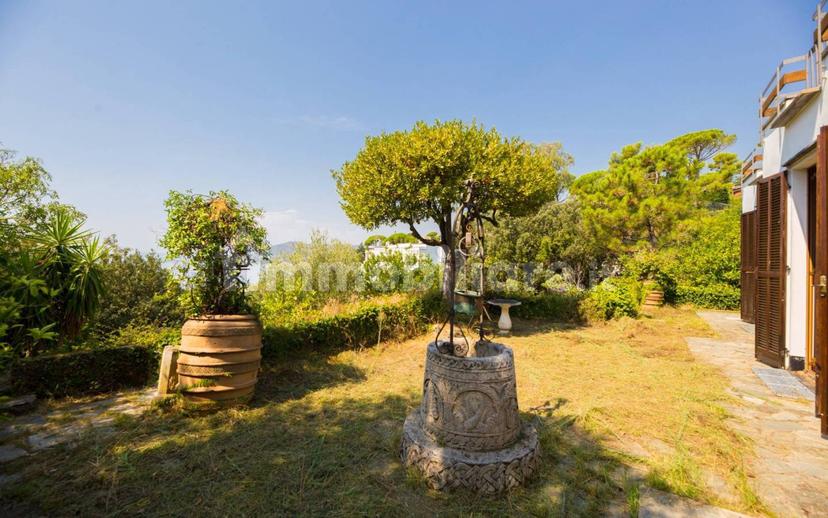 Villa unifamiliare via dell'Erica, Pineta, Arenzano — foto 11 di 68