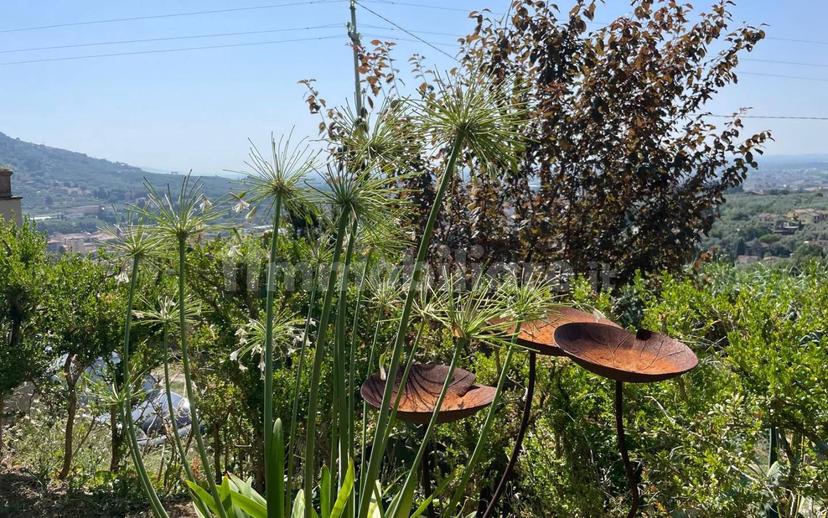 Rustico via San Giuseppe, Centro, Pescia — foto 36 di 60