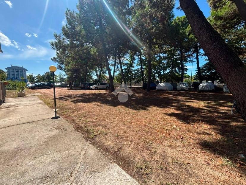 Trilocale viale Giambologna 6, Valverde, Cesenatico — foto 31 di 31