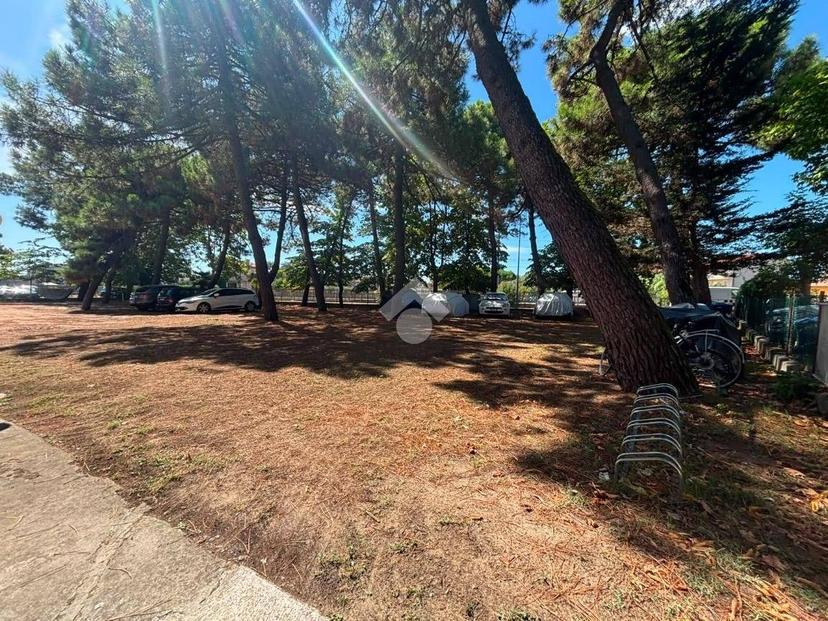 Trilocale viale Giambologna 6, Valverde, Cesenatico — foto 20 di 31