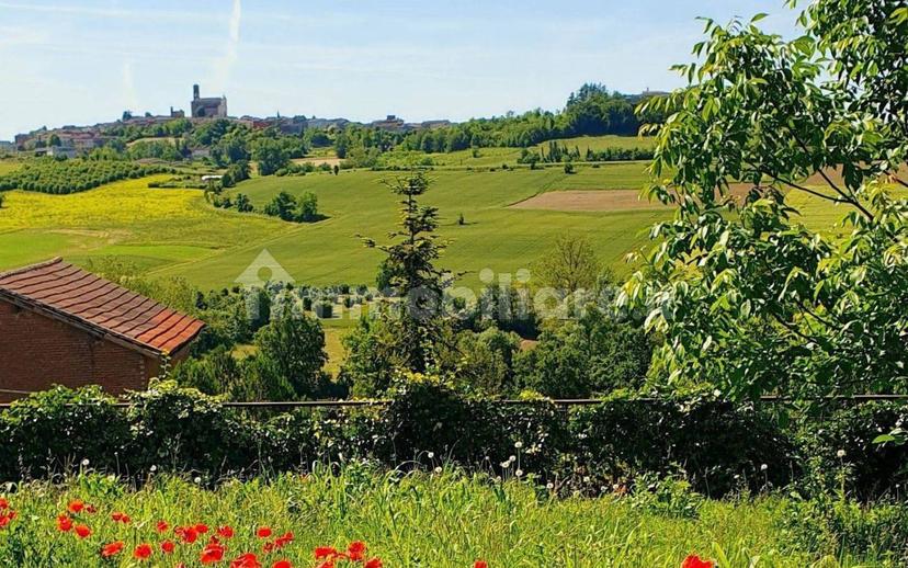 Rustico via Biletta, Penango — foto 15 di 20