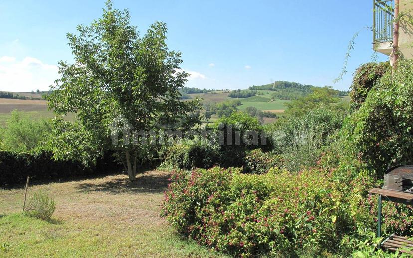 Rustico via Biletta, Penango — foto 9 di 20