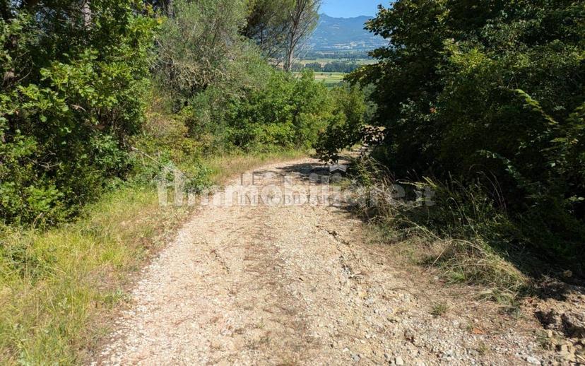 Casale, da ristrutturare, 250 m², Città di Castello — foto 8 di 35