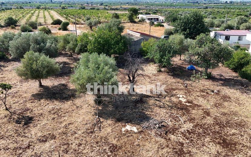 Rustico via degli ulivi, Cassibile, Siracusa — foto 7 di 8
