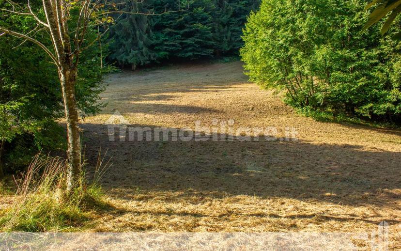 Rustico, da ristrutturare, 44 m², Fonzaso — foto 20 di 32