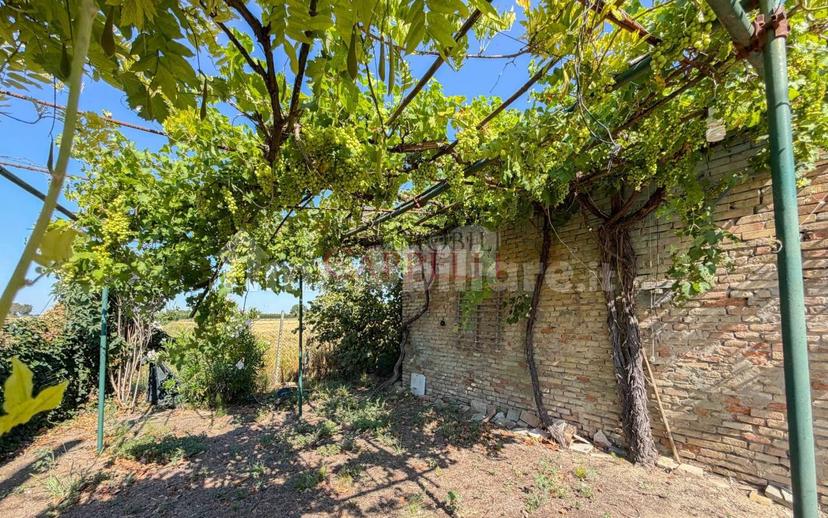 Villa unifamiliare via Schiampona, Sant'Andrea in Bagnolo, Cesena — foto 7 di 26