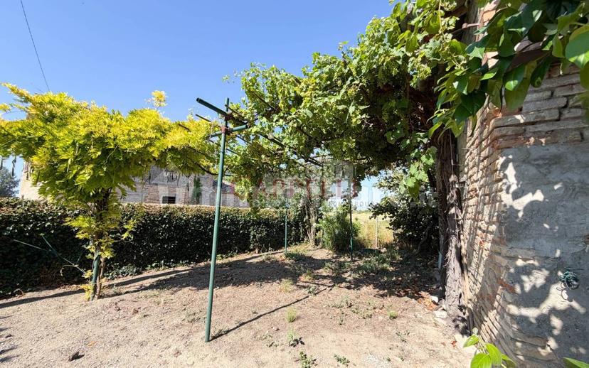 Villa unifamiliare via Schiampona, Sant'Andrea in Bagnolo, Cesena — foto 10 di 26