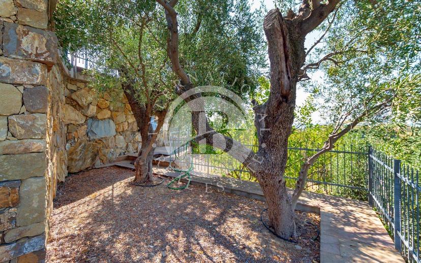 Villa unifamiliare, nuova, 230 m², Terzorio