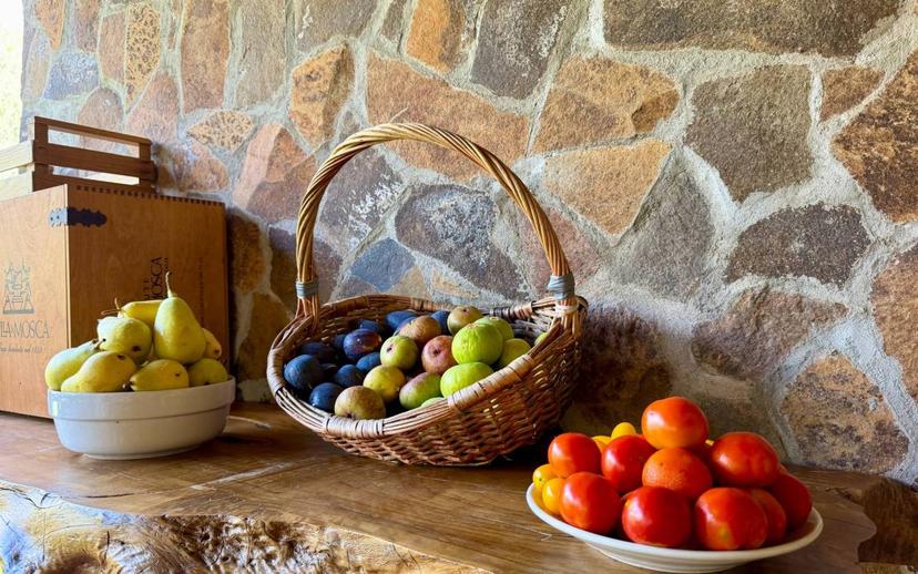 Villa unifamiliare via Nuraghe Bianco, Maria Pia, Fertilia, Alghero — foto 101 di 105